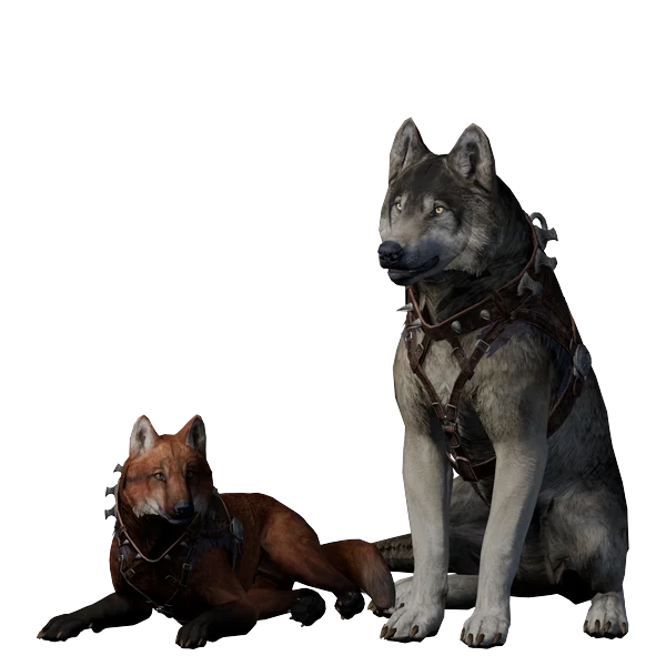 Ary And Zel