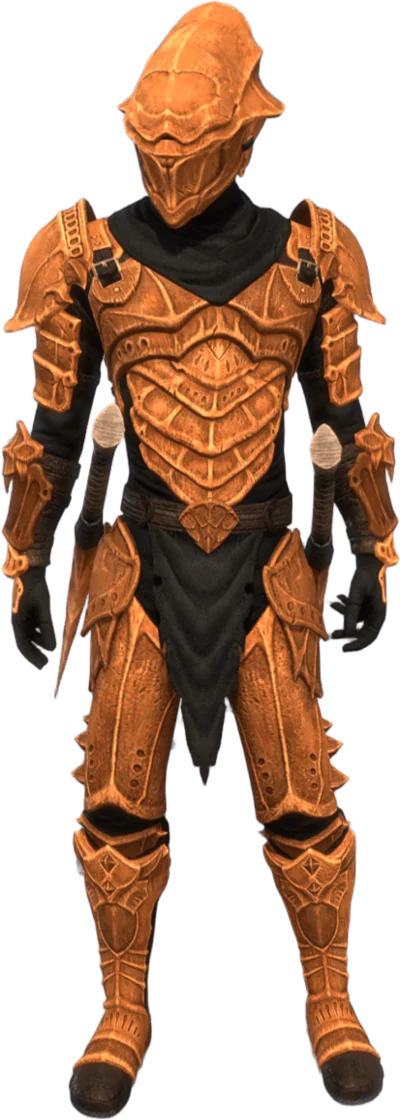 Stamina Warden Solo fashion screenshot - ESO