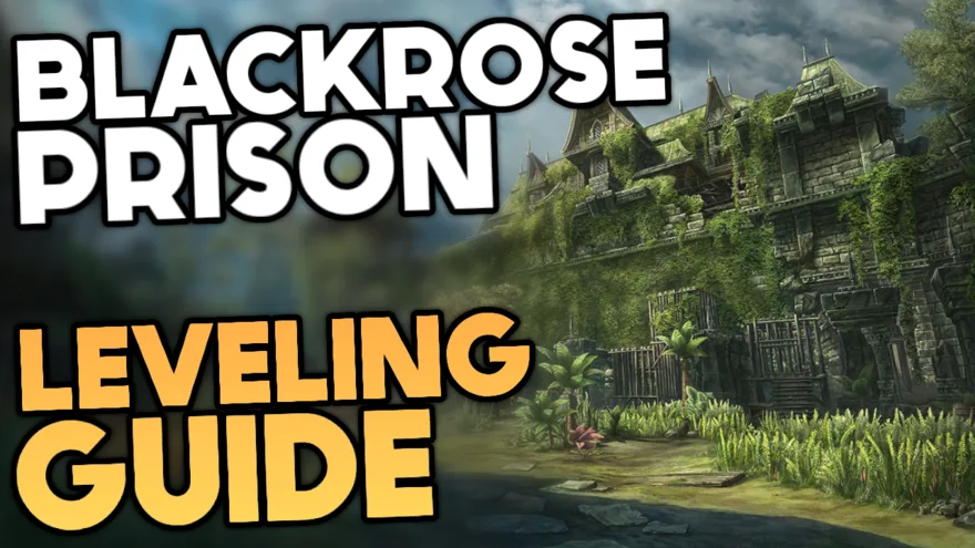 Blackrose Prison Leveling