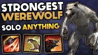 Werewolf Solo Guide and Build